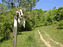Appalachian Trail - by Mindy